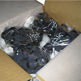 ���i�C���[�W1