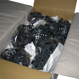 ���i�C���[�W2